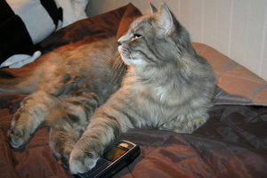 Picture_090.jpg