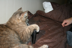 Picture_091.jpg