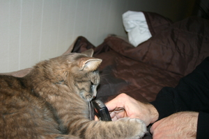 Picture_092.jpg