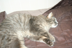 Picture_101.jpg