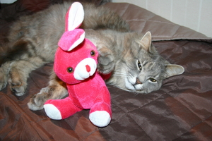 Picture_113.jpg