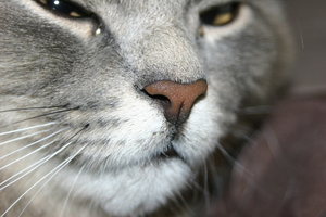 Picture_116.jpg