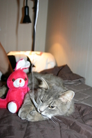 Picture_117.jpg