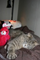 Picture_119.jpg