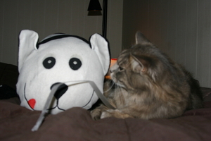 Picture_137.jpg