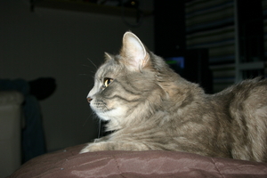 Picture_139.jpg