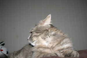 Picture_140.jpg