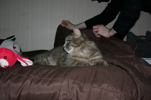 Picture_143.jpg