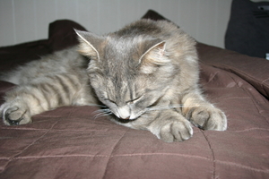 Picture_144.jpg