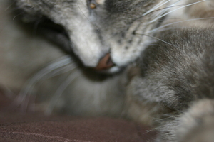 Picture_146.jpg