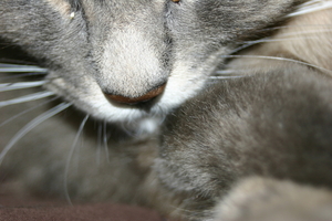 Picture_147.jpg