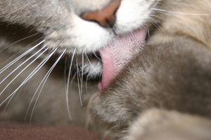 Picture_148.jpg