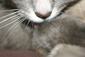 Picture_149.jpg