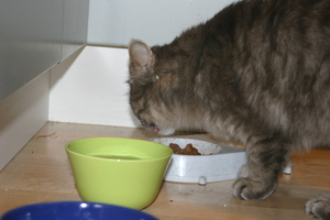 Picture_174.jpg
