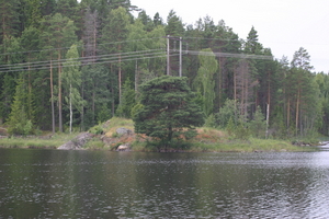 img_0093.jpg