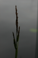 img_0095.jpg