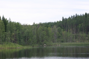 img_0096.jpg
