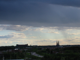 img_0239.jpg