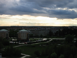 img_0241.jpg