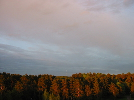 img_0252.jpg