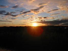 img_0253.jpg