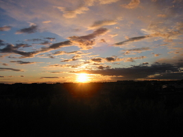 img_0255.jpg