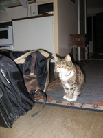 img_0580.jpg
