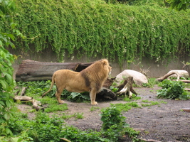 img_0620.jpg