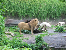 img_0621.jpg