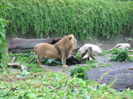 img_0622.jpg