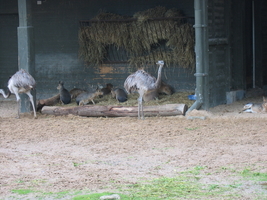 img_0625.jpg