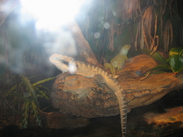 img_0633.jpg