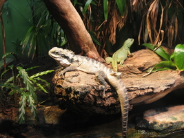 img_0634.jpg