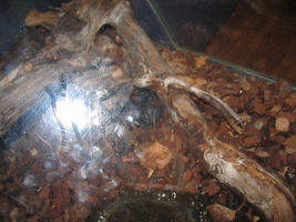 img_0636.jpg