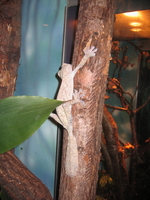 img_0640.jpg