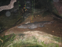 img_0643.jpg