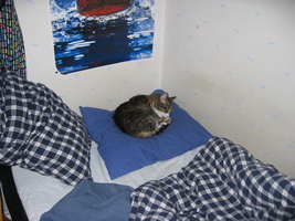 img_0650.jpg