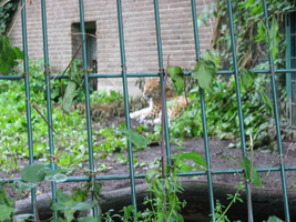 img_0655.jpg