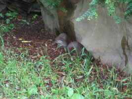 img_0665.jpg