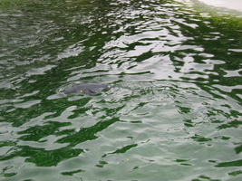 img_0673.jpg