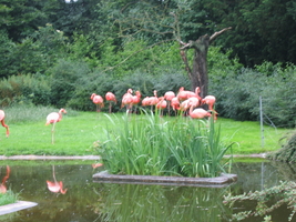 img_0683.jpg
