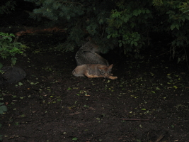 img_0692.jpg