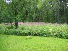img_0721.jpg