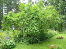img_0722.jpg