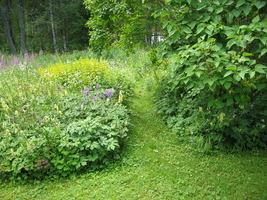 img_0723.jpg