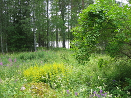 img_0724.jpg