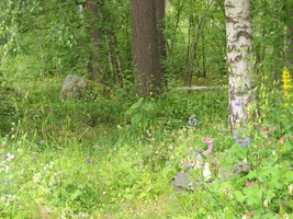 img_0731.jpg