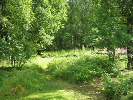 img_0744.jpg