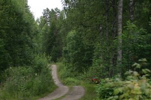img_0834.jpg