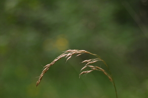 img_0836.jpg